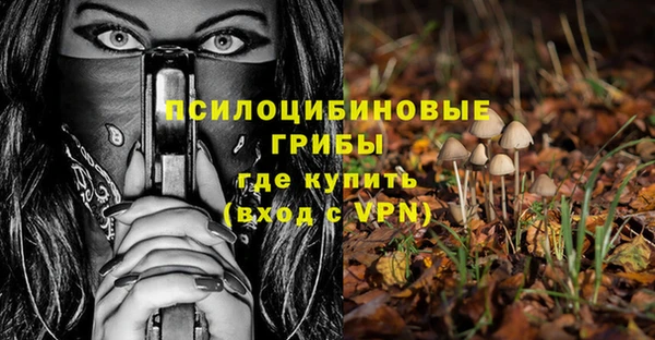 spice Покров