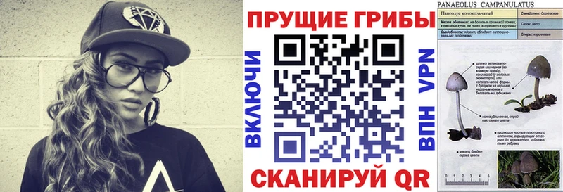 гидра вход  Чкаловск  Галлюциногенные грибы ЛСД 